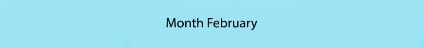 Birthstones for February