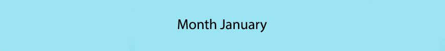 January Birthstone