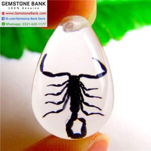 REAL Black Scorpion in Resin Pendant