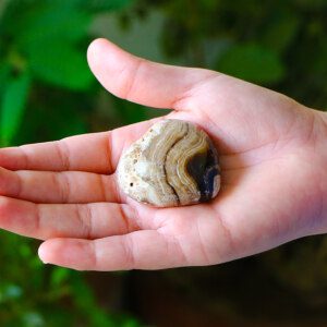 CERTIFIED Natural LEOPARD SKIN Healing Reiki Tumbled Stone