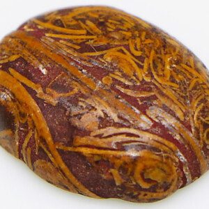 Natural CERTIFIED Holy Healing Stone