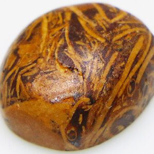 Rare Beauty Calligrapher Holy Stone Natural Polished CERTIFIED