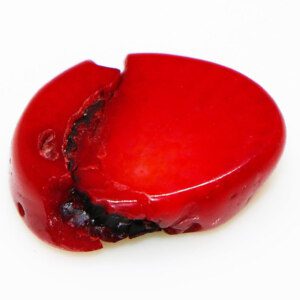 Natural Irregular Shape Red Coral Stone