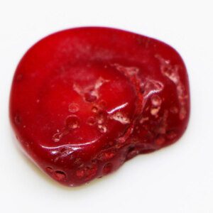 Red Coral Natural Untreated Irregular Shape Loose Gem Stone