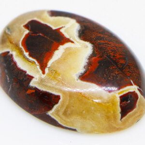 Breathtaking Jasper Picasso Loose Gemstone