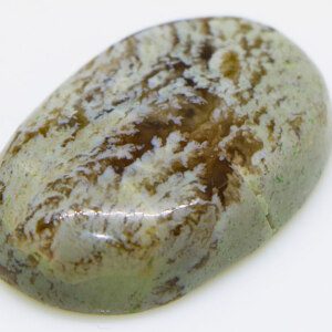 Brilliant Unique Moss Agate Loose Stone