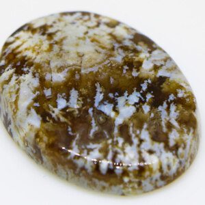 REAL Shajri Aqeeq-Agate Stone Price in Pakistan