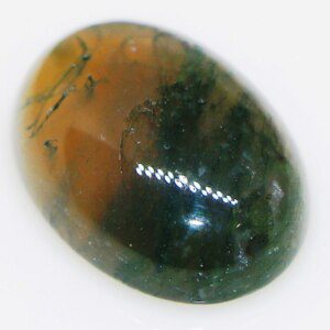 Superb Natural Moss Agate Loose Worry Stone CERTIFIED