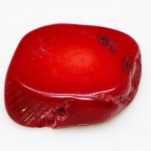 Natural Red Coral Stone Sale