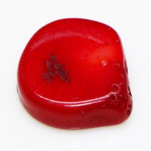 Untreated Certified Natural RED CORAL-MARJAN Loose Stone