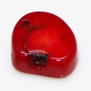 Red Color CORAL Free Shape Unheated Untreated Gem Stone