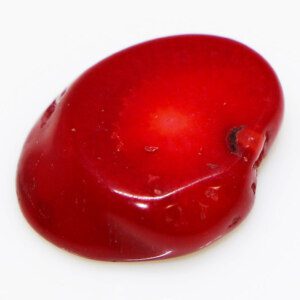 Healing Red CORAL Gemstone for Evil Eye