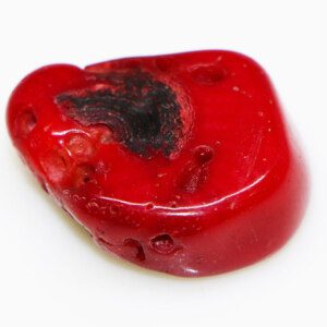 EVIL EYE Protection Natural MARJAN-RED CORAL Stone