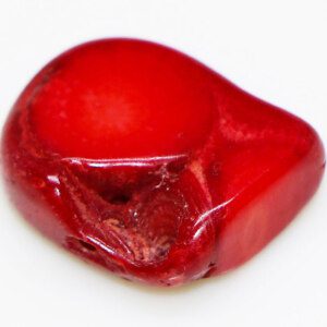 AAA RED CORAL for Healing Benefits Natural CERTIFIED