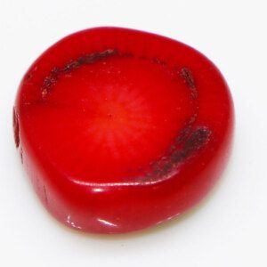 No Treated Natural Red Coral Stone