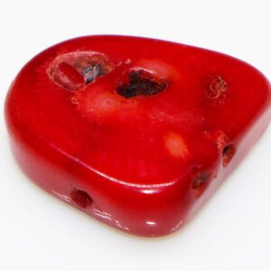 Natural Irregular Shape Red Coral Stone