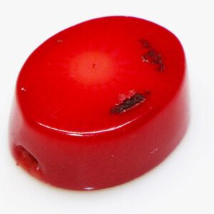 Top Red Coral Natural Loose GemStone