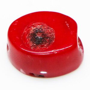 REAL Marjaan-Moonga Coral Gem Stone