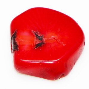 Natural Red Coral Stone