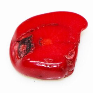 Untreated No Shape Red Coral Loose Gemstone