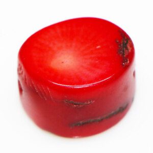 Natural Untreated Red Coral Birthstone