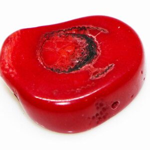 Outstanding Natural Red Coral Gemstone