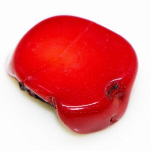 Natural REAL Raw Sea Red Coral Stone