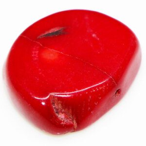 CERTIFIED Italian Top Red Sea Coral Loose Stone