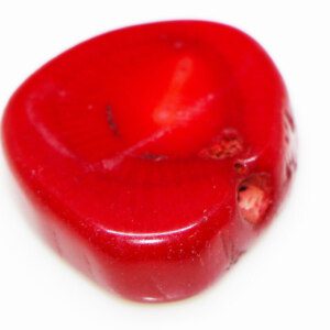 Authentic REAL Red Coral Loose Stone