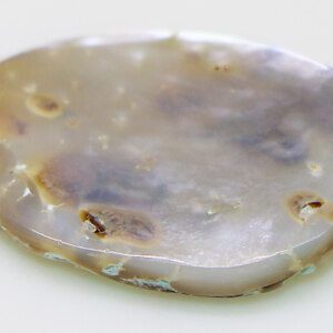 Mother of Pearl Zodiac