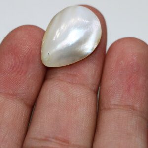 Vintage Mother of Pearl