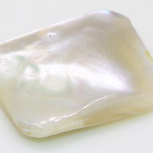 Mother of Pearl Cabochon