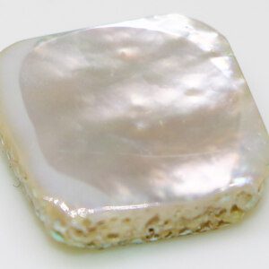 Timeless Mother of Pearl Fossil