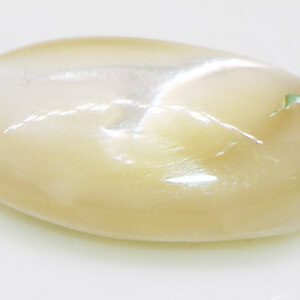 Elegant Oval Mother of Pearl