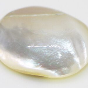 Sleek Mother of Pearl Round