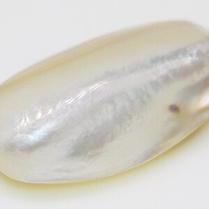 Mother of Pearl Cabochon