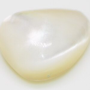 Cabochon Mother of Pearl