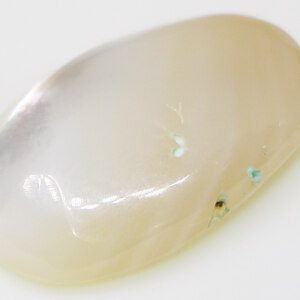 Exotic Madre Pearl – Natural Oceanic Charm - Image 11