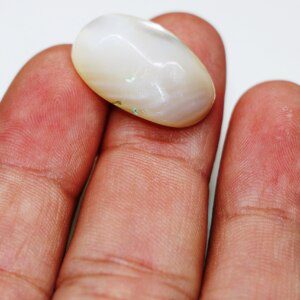 Exotic Madre Pearl – Natural Oceanic Charm - Image 14