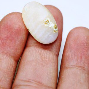 Exotic Madre Pearl – Natural Oceanic Charm - Image 8