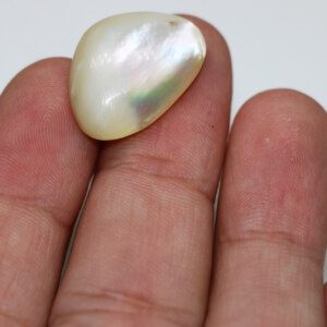 Loose Mother of Pearl Cabochon