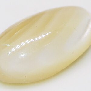 Close up view of Mother Pearl Shell