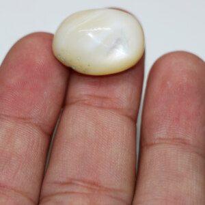 White Mother of Pearl Shell Stone