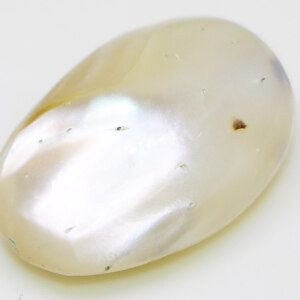 White Mother Pearl Shell Stone