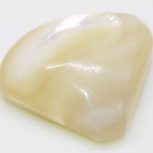 Vintage Mother of Pearl Shell