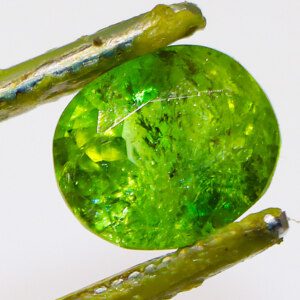 Hot Peridot Gemstone