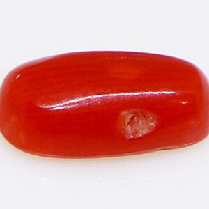 Red Coral Gemstone