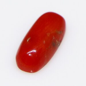 Natural Red Coral or Moonga Loose Stone