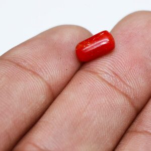 Small Genuine Red Coral Gemstone Held in Hand