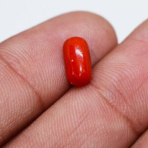 High-quality Red Coral (Marjan Stone) captured in close-up